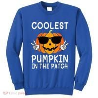 Coolest Pumpkin In The Patch Funny Halloween Sweatshirt thumb 0