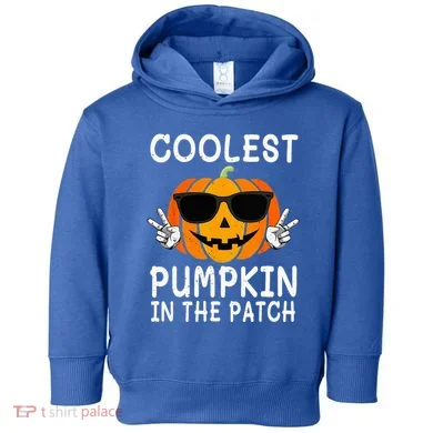 Toddler Hoodie
