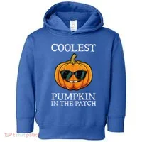 Coolest Pumpkin In The Patch Halloween Toddler Hoodie thumb 0
