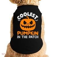 Coolest Pumpkin In The Patch For Halloween Fans Gift Doggie Tank thumb 0