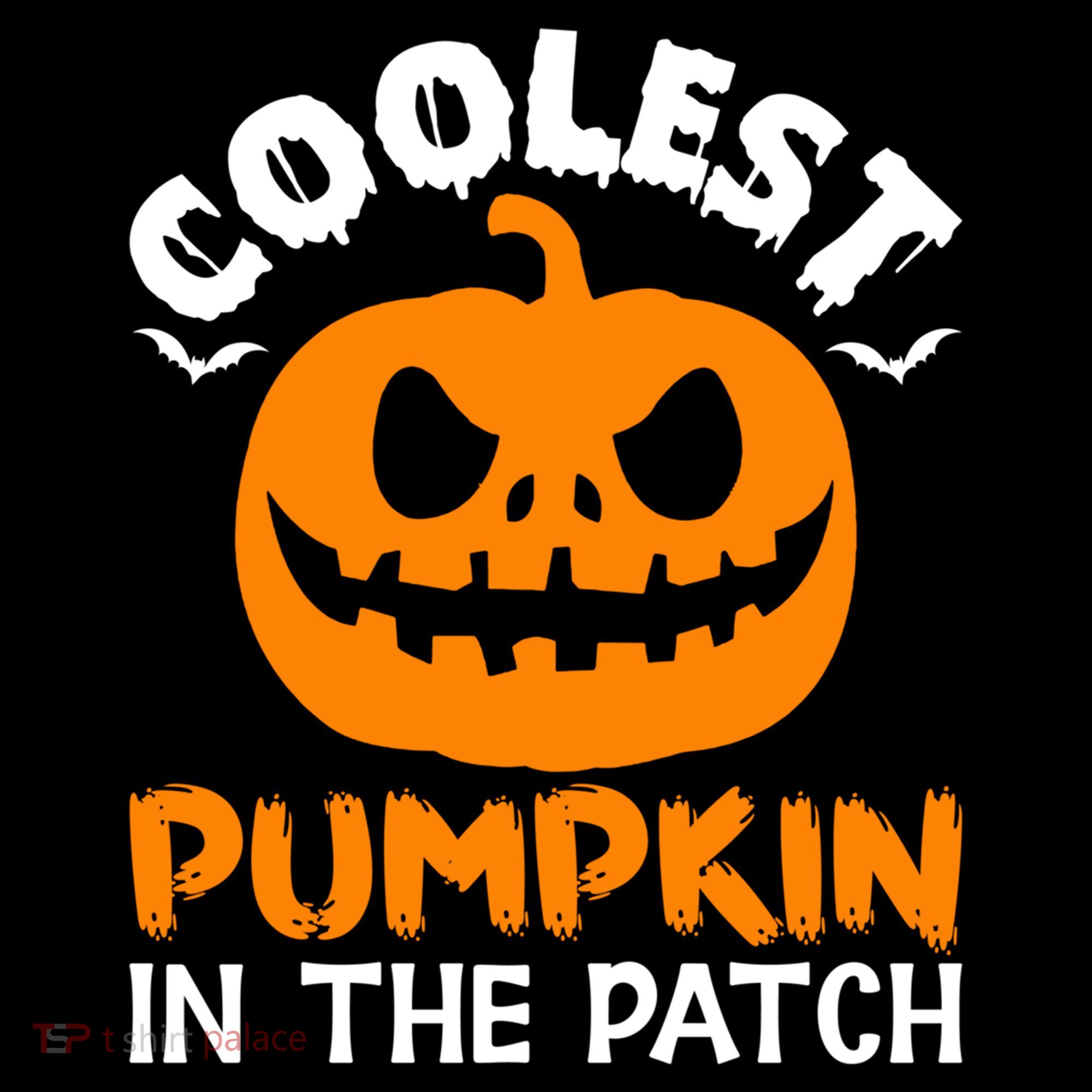 Coolest Pumpkin In The Patch For Halloween Fans Gift Women's Hoodie