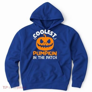 Coolest Pumpkin In The Patch For Halloween Fans Gift Hoodie