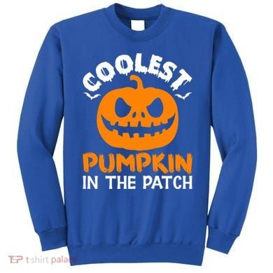 Coolest Pumpkin In The Patch For Halloween Fans Gift Sweatshirt