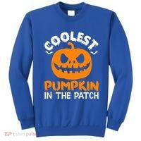 Coolest Pumpkin In The Patch For Halloween Fans Gift Sweatshirt thumb 0