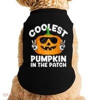 Coolest Pumpkin In The Patch Funny S Halloween Gift Doggie Tank thumb 0