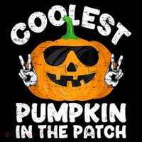 Coolest Pumpkin In The Patch Funny S Halloween Gift Women's Hoodie thumb 2