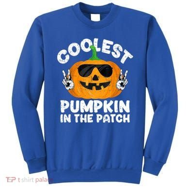 Coolest Pumpkin In The Patch Funny S Halloween Gift Sweatshirt