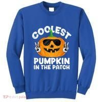 Coolest Pumpkin In The Patch Funny S Halloween Gift Sweatshirt thumb 0