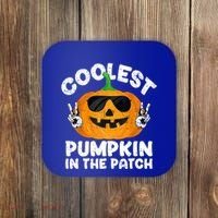 Coolest Pumpkin In The Patch Funny S Halloween Gift Coaster thumb 0