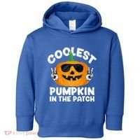 Coolest Pumpkin In The Patch Funny S Halloween Gift Toddler Hoodie thumb 0