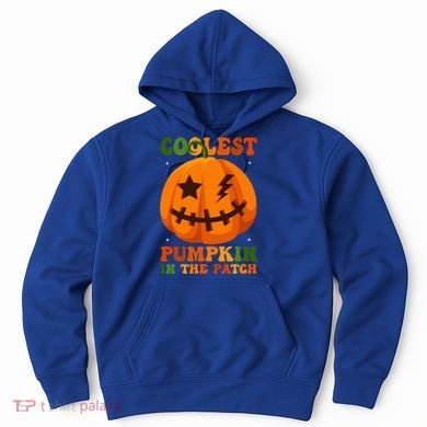 Coolest Pumpkin In The Patch Groovy Happy Halloween Cool Gift Hoodie