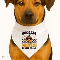 Coolest Pumpkin In The Patch USA-Made Doggie Bandana thumb 1
