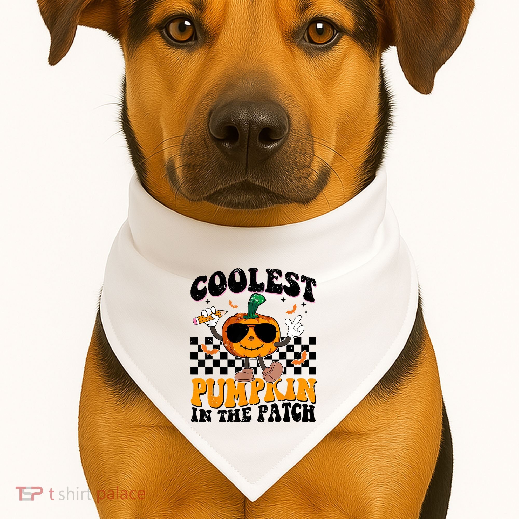 Coolest Pumpkin In The Patch USA-Made Doggie Bandana