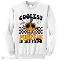 Coolest Pumpkin In The Patch Sweatshirt thumb 0