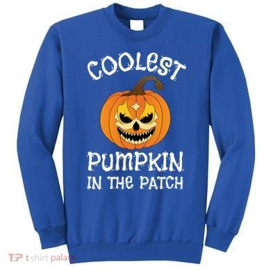 Coolest Pumpkin In The Patch Halloween Fall Design Funny Gift Sweatshirt