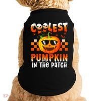 Coolest Pumpkin In The Patch Halloween Gift Doggie Tank thumb 0