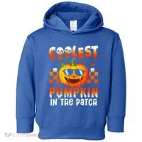 Coolest Pumpkin In The Patch Halloween Gift Toddler Hoodie thumb 0