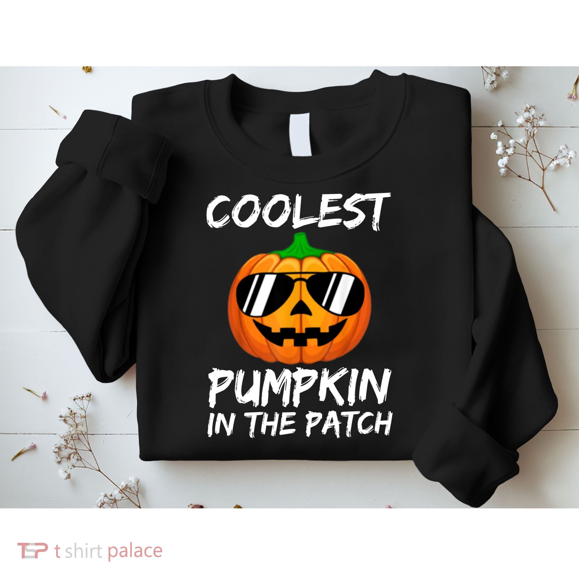 Coolest Pumpkin In The Patch Halloween Pumpkin Sweatshirt