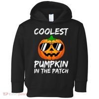 Coolest Pumpkin In The Patch Halloween Pumpkin Toddler Hoodie thumb 0