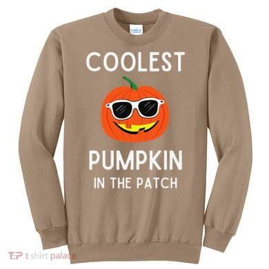 Coolest Pumpkin In The Patch Funny Cool Pumpkin Halloween Sweatshirt
