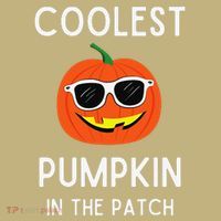 Coolest Pumpkin In The Patch Funny Cool Pumpkin Halloween Sweatshirt thumb 2