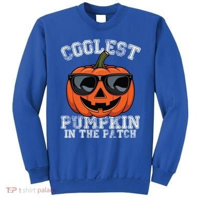Coolest Pumpkin In The Patch Halloween Great Gift Sweatshirt