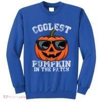 Coolest Pumpkin In The Patch Halloween Great Gift Sweatshirt thumb 0