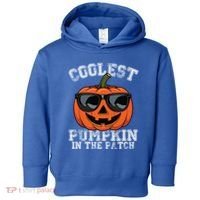 Coolest Pumpkin In The Patch Halloween Great Gift Toddler Hoodie thumb 0
