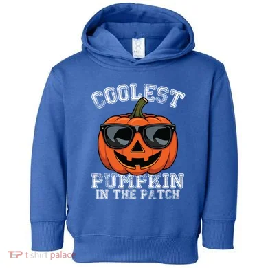 Toddler Hoodie