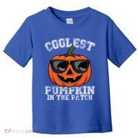 Coolest Pumpkin In The Patch Halloween Great Gift Toddler T-Shirt thumb 0
