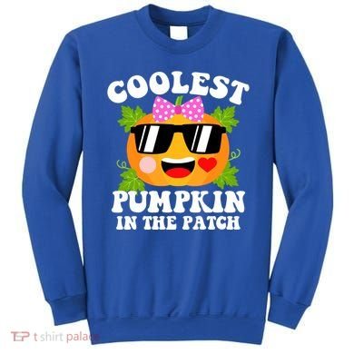 Coolest Pumpkin In The Patch Gift Funny Halloween Costume Gift Sweatshirt