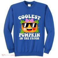 Coolest Pumpkin In The Patch Gift Funny Halloween Costume Gift Sweatshirt thumb 0