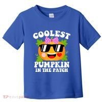 Coolest Pumpkin In The Patch Gift Funny Halloween Costume Gift Toddler T-Shirt thumb 0