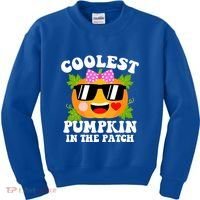 Coolest Pumpkin In The Patch Gift Funny Halloween Costume Gift Kids Sweatshirt thumb 0
