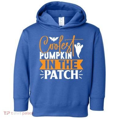 Coolest Pumpkin In The Patch Gift Toddler Hoodie
