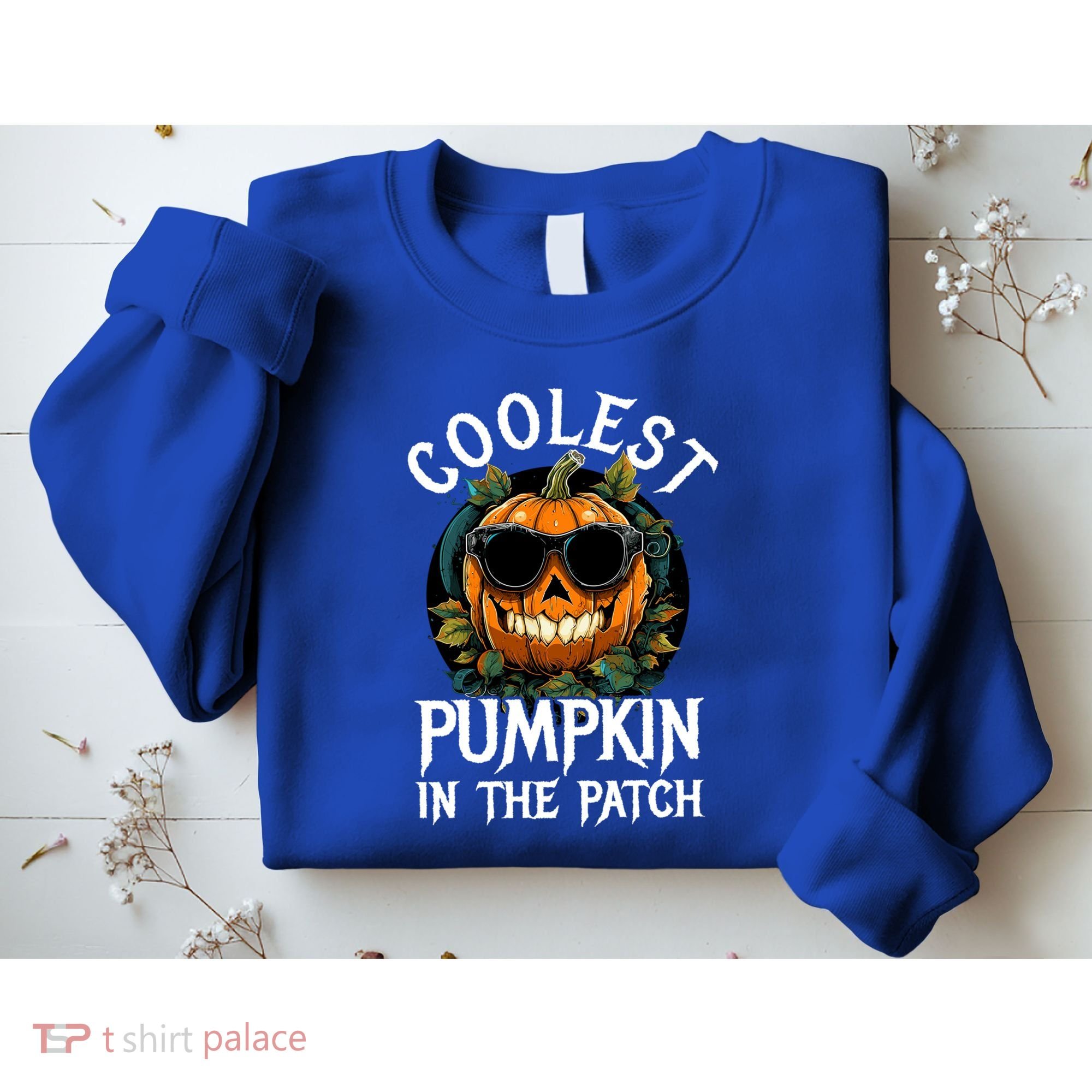 Coolest Pumpkin In The Patch Gift Sweatshirt