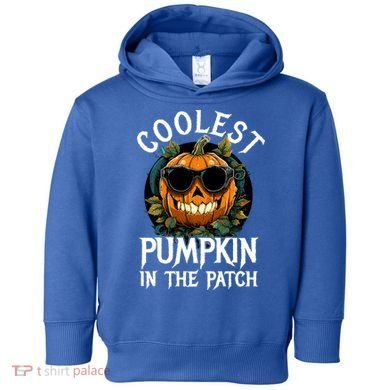 Coolest Pumpkin In The Patch Gift Toddler Hoodie