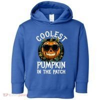 Coolest Pumpkin In The Patch Gift Toddler Hoodie thumb 0