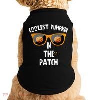 Coolest Pumpkin In The Patch Halloween Gift Cute Doggie Tank thumb 0