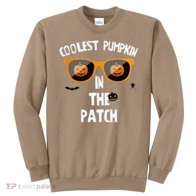 Coolest Pumpkin In The Patch Halloween Gift Cute Sweatshirt