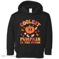 Coolest Pumpkin In The Patch Halloween Toddler Hoodie thumb 0