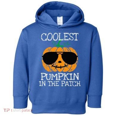 Coolest Pumpkin In The Patch Halloween Toddler Hoodie