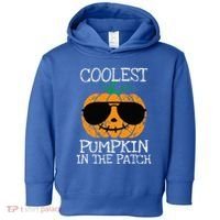 Coolest Pumpkin In The Patch Halloween Toddler Hoodie thumb 0