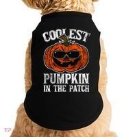 Coolest Pumpkin In The Patch Halloween Gift Doggie Tank thumb 0