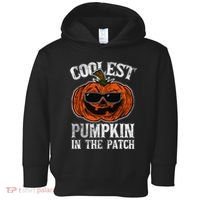 Coolest Pumpkin In The Patch Halloween Gift Toddler Hoodie thumb 0