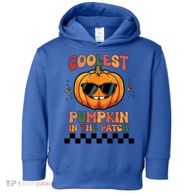 Coolest Pumpkin In The Patch Halloween Meaningful Gift Toddler Hoodie