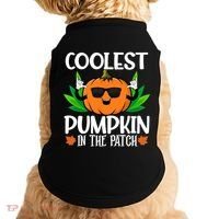 Coolest Pumpkin In The Patch Sunglasses Pumpkin Halloween Gift Doggie Tank thumb 0