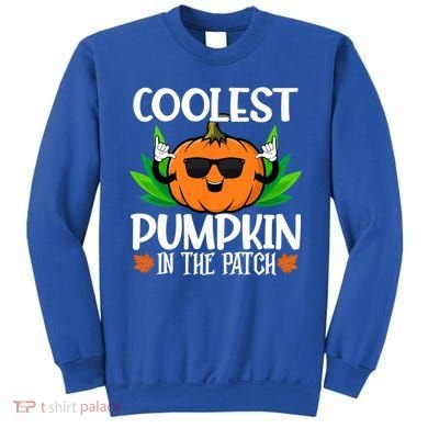 Coolest Pumpkin In The Patch Sunglasses Pumpkin Halloween Gift Sweatshirt