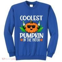 Coolest Pumpkin In The Patch Sunglasses Pumpkin Halloween Gift Sweatshirt thumb 0