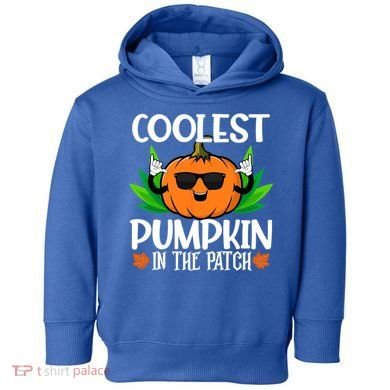 Coolest Pumpkin In The Patch Sunglasses Pumpkin Halloween Gift Toddler Hoodie